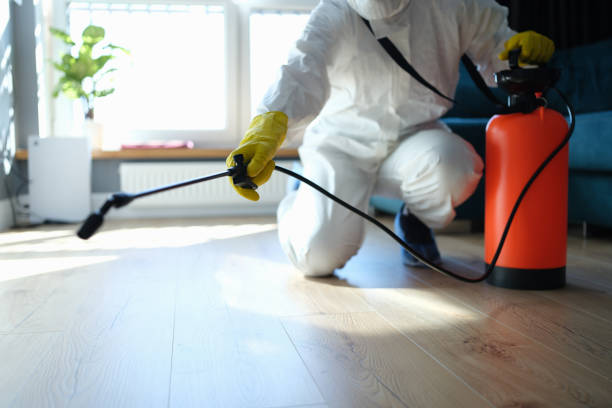 Reliable Infectious Disease Decontamination contractor in Matlock, WA by Trauma Clean Pros